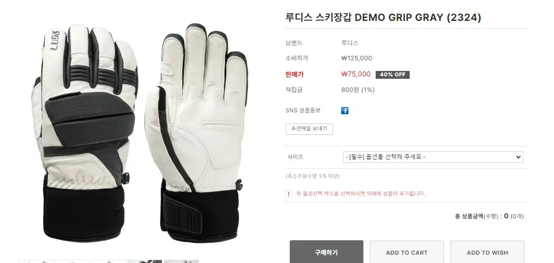 LUDIS DEMO GRIP 루디스 데모그립 스키장갑 그레이